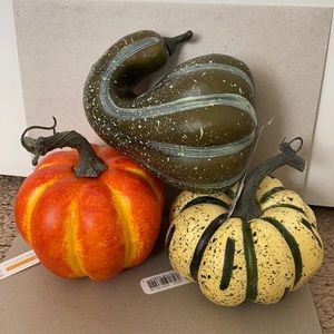 🎃🍁 Buy 2 Get 1 FREE 3 Pack NWT Ashland Mini Pumpkin Decor - Fall/Halloween